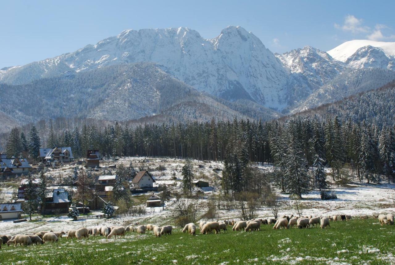 Domek Na Wierchu I Apartament Na Wierchu Zakopane Extérieur photo