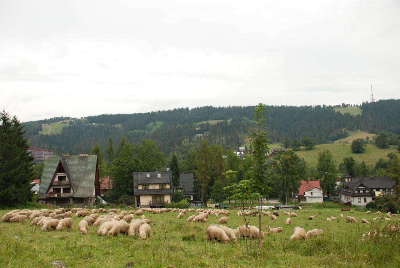 Domek Na Wierchu I Apartament Na Wierchu Zakopane Extérieur photo