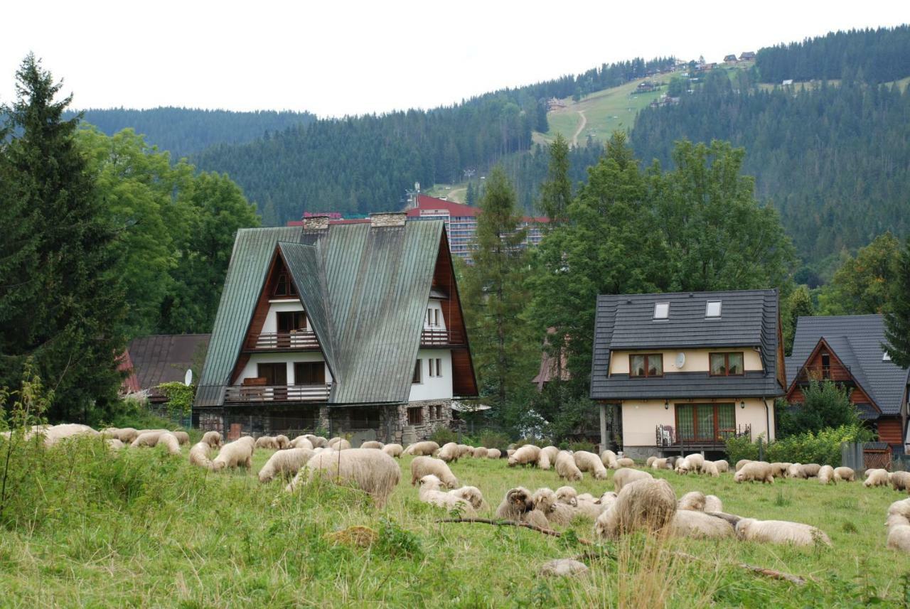 Domek Na Wierchu I Apartament Na Wierchu Zakopane Extérieur photo